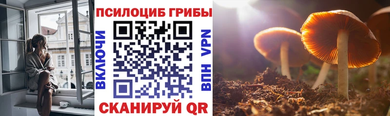 Галлюциногенные грибы прущие грибы Одинцово