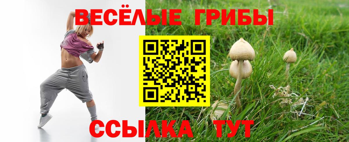 Одинцово  Псилоцибиновые грибы Psilocybe  Псилоцибиновые грибы MAGIC MUSHROOMS  Вход с VPN 
